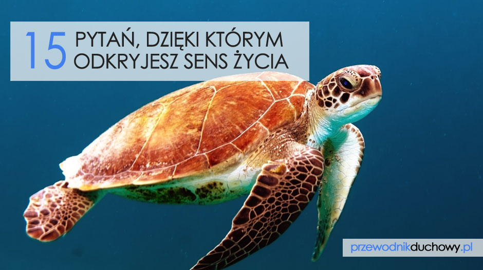 15 pytań, dzięki którym odkryjesz sens życia