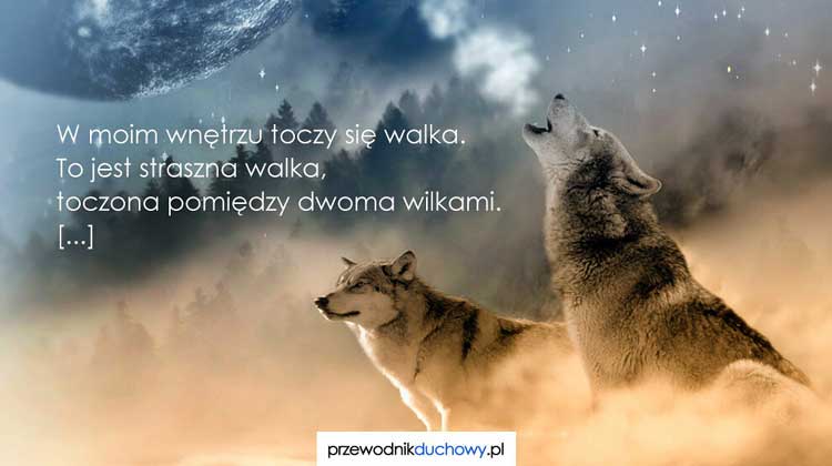 Dwa wilki